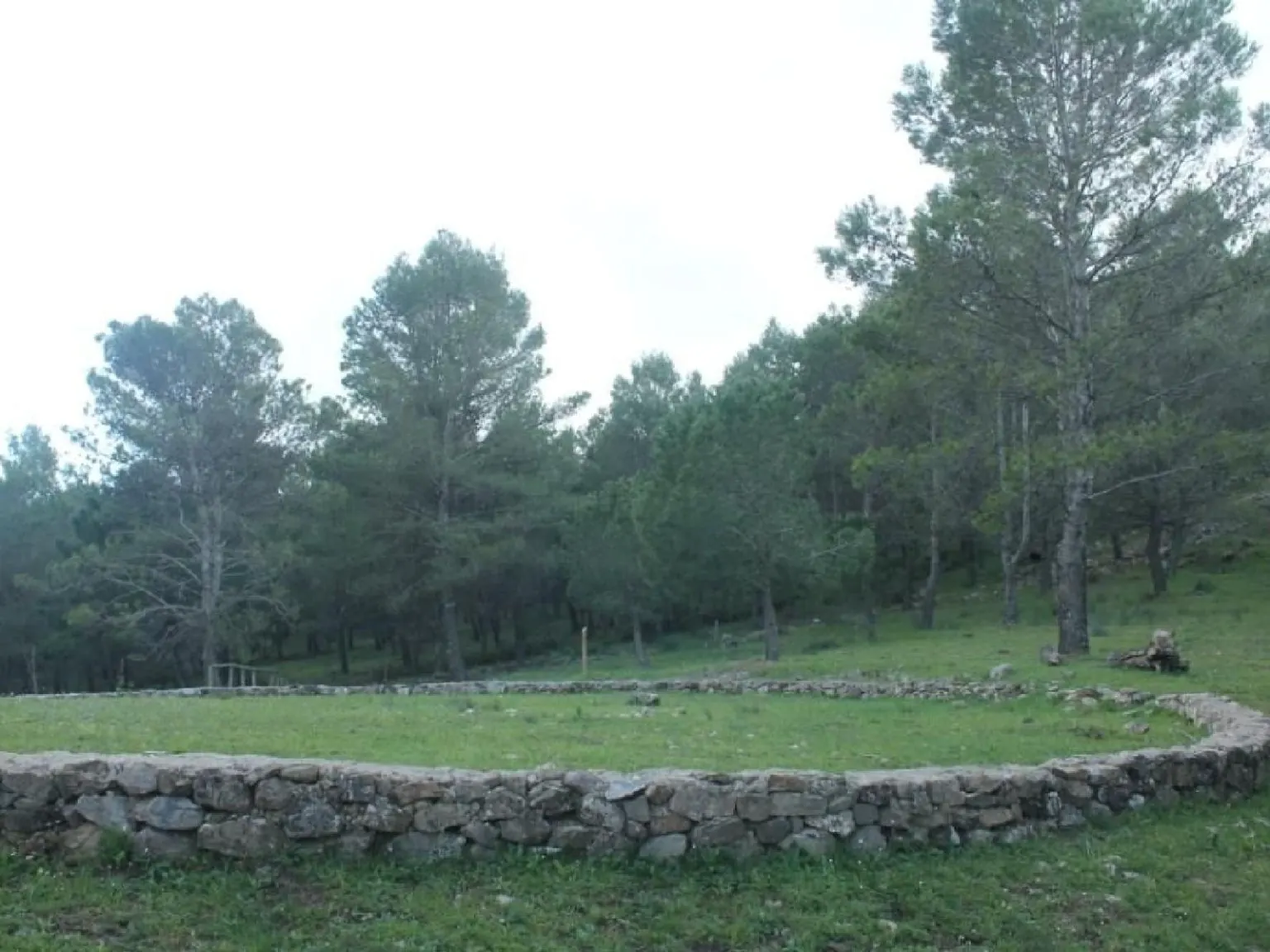 Naturaleza y senderos del entorno